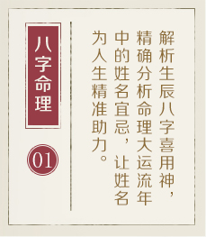 儋州起名流程一